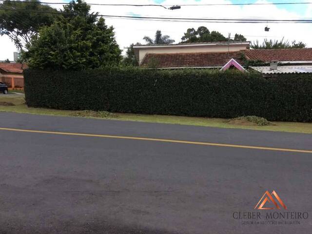 Terreno para Venda em Curitiba - 4