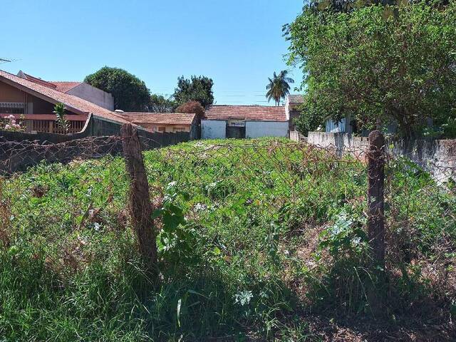 #795 - Terreno para Venda em Curitiba - PR - 1