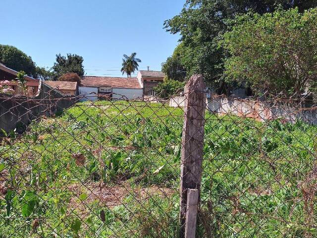 Terreno para Venda em Curitiba - 4