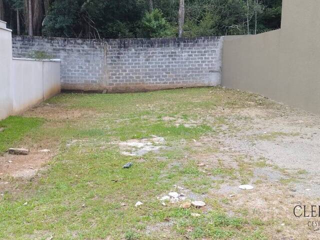 Terreno para Venda em Colombo - 4