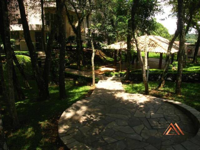 Apartamento para Venda em Curitiba - 5
