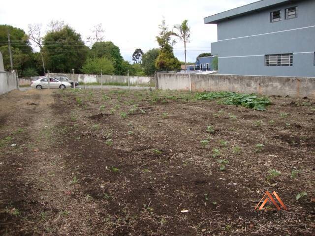 #668 - Terreno para Venda em Curitiba - PR - 3