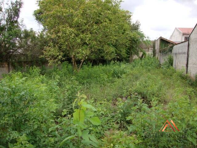 Terreno para Venda em Curitiba - 4