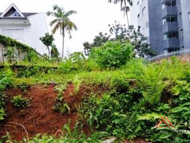 Terreno para Venda em Curitiba - 4